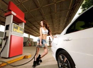 汽车封油价格多少钱(汽车封油价格解析,多少钱才是合理的选择? 汽车封油价格多少钱(汽车封油价格解析,多少钱才是合理的选择?