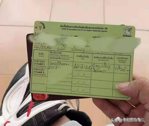 沁阳汽车车站电话多少啊(沁阳汽车车站电话查询及出行指南) 沁阳汽车车站电话多少啊(沁阳汽车车站电话查询及出行指南)