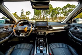 星途汽车定制雨伞多少钱(星途汽车定制雨伞价格解析)