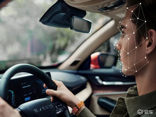 星途汽车定制雨伞多少钱(星途汽车定制雨伞价格解析)