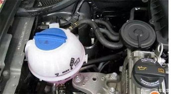 阜阳汽车水箱卡箍多少钱(阜阳汽车水箱卡箍价格解析)