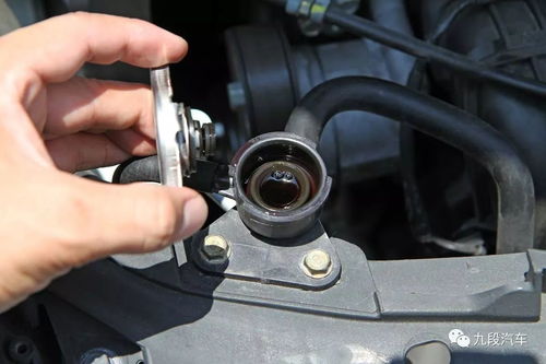 阜阳汽车水箱卡箍多少钱(阜阳汽车水箱卡箍价格解析)