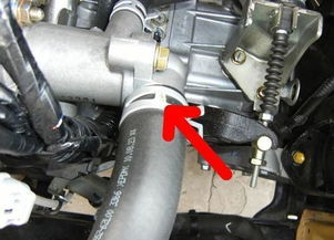 阜阳汽车水箱卡箍多少钱(阜阳汽车水箱卡箍价格解析)