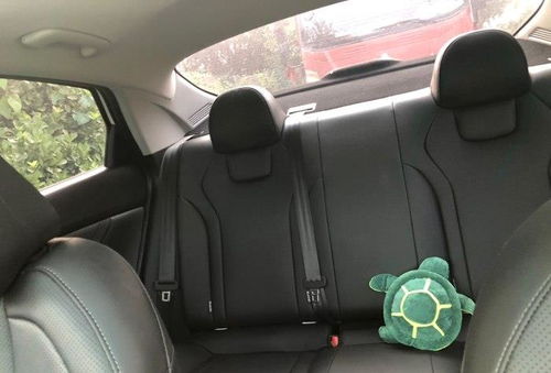 汽车内饰有多少人喜欢用(汽车内饰,多少人的钟爱之选? 汽车内饰有多少人喜欢用(汽车内饰,多少人的钟爱之选?