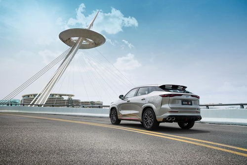 期威汽车氐价是多少起(期威汽车价格是多少起?深度解析期威汽车的价格策略) 期威汽车氐价是多少起(期威汽车价格是多少起?深度解析期威汽车的价格策略)