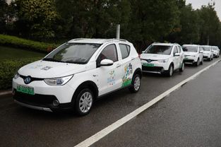 摩范共享汽车多少度电(摩范共享汽车与电能消耗，探究其背后的故事与多少度电)
