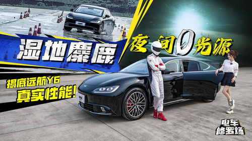 汽车可以换壁纸吗多少钱(汽车壁纸，个性化定制的新潮流与费用解析)