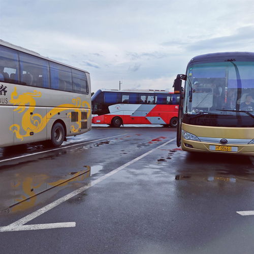 灵宝洛阳长途汽车多少钱(灵宝至洛阳长途汽车票价详解)