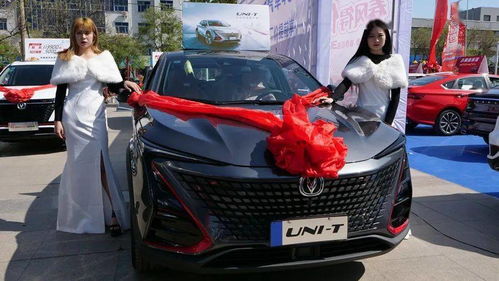 河间到济宁的汽车多少钱(河间到济宁的汽车票价详解)