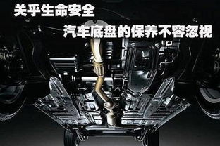 汽车底盘检测多少钱(汽车底盘检测的重要性及其费用)