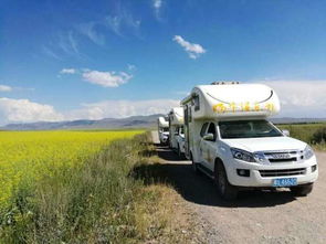 新余到巴邱汽车多少钱(新余到巴邱汽车票价详解)