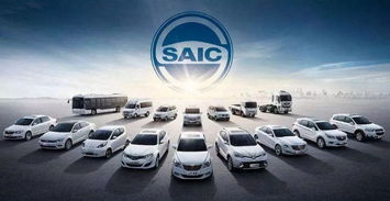 全球有多少家汽车品牌店(全球汽车品牌店的数量探究)