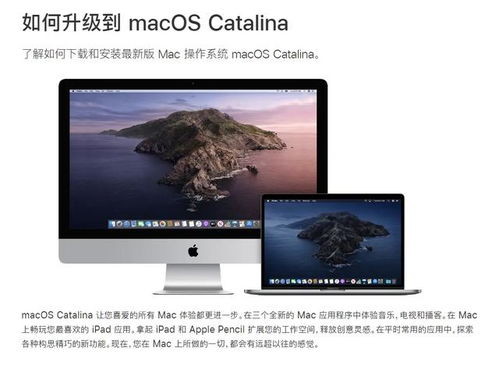 华为电脑怎么下载天天跳绳(华为电脑下载天天跳绳—入门指南)
