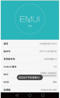怎么查华为电脑售后电话(如何查找华为电脑售后电话，详细指南)