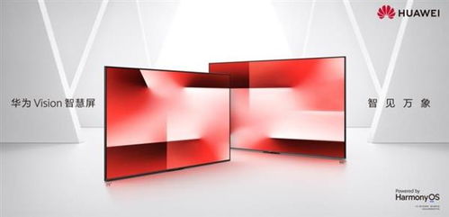 怎么用电脑看华为视频(如何用电脑观看华为视频，详细指南)