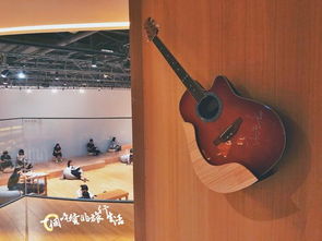 华为电脑怎么拍桌面照片(华为电脑拍桌面照片的方法与技巧)