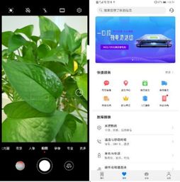 电脑抖音怎么拍照华为(华为电脑抖音拍照全攻略，轻松掌握拍照技巧与操作指南)