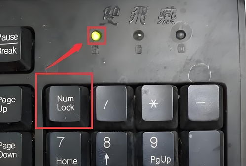 华为电脑怎么选专业键盘(华为电脑专业键盘的选择指南)