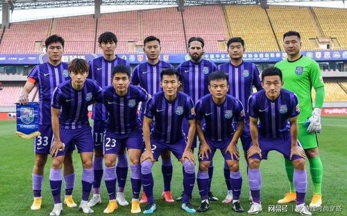 上海申花3比0天津津门虎(上海申花3比0天津津门虎，一场胜利背后的故事)