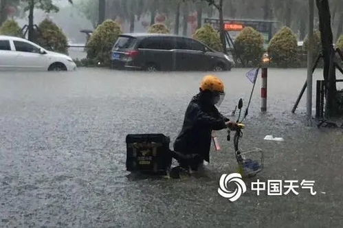 #亲历者视角下的南方暴雨#亲历者视角下的南方暴雨)