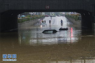 #亲历者视角下的南方暴雨#亲历者视角下的南方暴雨)