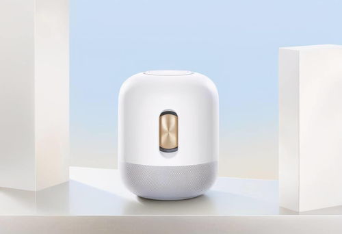 华为音箱怎么了解电脑(华为音箱与电脑的互联互动,深入了解与操作指南) 华为音箱怎么了解电脑(华为音箱与电脑的互联互动,深入了解与操作指南)