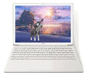 华为电脑 c模式怎么开(华为电脑C模式开启指南) 华为电脑 c模式怎么开(华为电脑C模式开启指南)