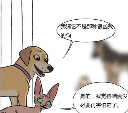 聊城老板卖猫狗粮暴赚230亿身家(聊城老板卖猫狗粮逆袭成功,暴赚230亿身家) 聊城老板卖猫狗粮暴赚230亿身家(聊城老板卖猫狗粮逆袭成功,暴赚230亿身家)