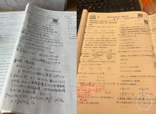 38岁宝妈时隔20年再战高考总分565(重返考场，一位38岁宝妈的奋斗与坚持)