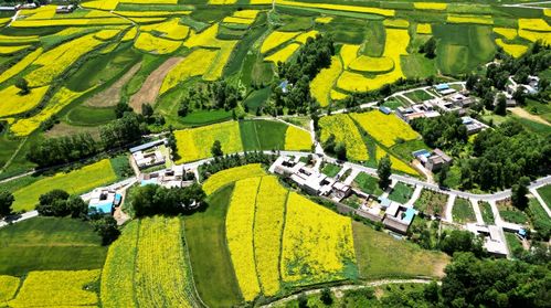 守住耕地这个命根子(坚守耕地，守住我们的命根子)