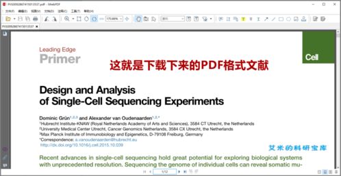 华为电脑怎么翻译英文PDF(华为电脑如何翻译英文PDF文件，全面指南)
