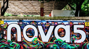 照片怎么涂鸦华为电脑版(华为电脑版照片涂鸦指南,创意无限,乐趣无穷) 照片怎么涂鸦华为电脑版(华为电脑版照片涂鸦指南,创意无限,乐趣无穷)