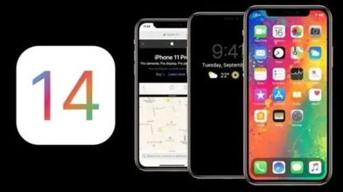 华为荣耀怎么倒电脑文件(华为荣耀手机如何轻松倒出电脑文件,一站式解决方案) 华为荣耀怎么倒电脑文件(华为荣耀手机如何轻松倒出电脑文件,一站式解决方案)