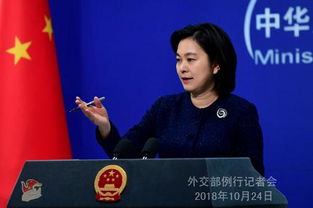 中方回应是否继续进口伊朗石油(中方回应是否继续进口伊朗石油，稳定合作与多元能源供应考量)