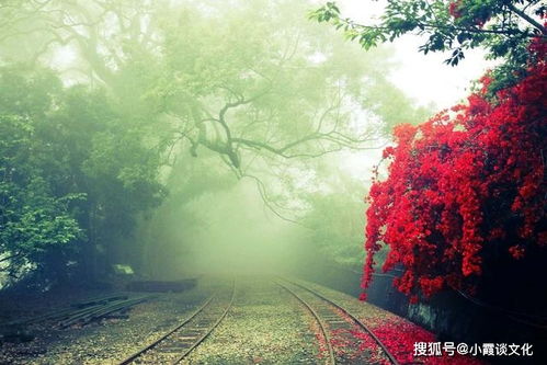 蔡澜曾谈及怎样面对亲友离世(面对亲友离世的智慧,从蔡澜的话语中寻找启示) 蔡澜曾谈及怎样面对亲友离世(面对亲友离世的智慧,从蔡澜的话语中寻找启示)