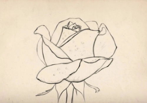 华为电脑画画怎么画好看(华为电脑绘画技巧，如何画出精美的画作)