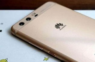 华为电脑的性能怎么开关(华为电脑性能开关详解，如何开启与调整电脑性能)