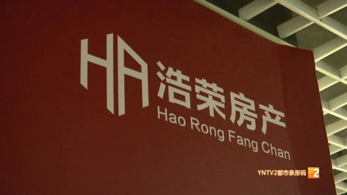 为了卖房当中介 房子仍没卖出去(为了卖房当中介，挑战与坚持)