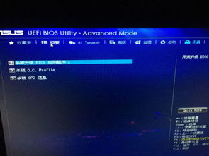 华为国产电脑怎么进bios(华为国产电脑进入BIOS设置详解)