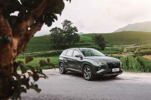 电脑怎么玩明日之华为(明日之华为，电脑上的冒险之旅)