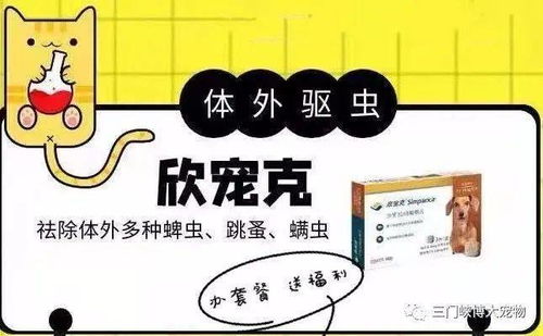 华为电脑怎么除静电啊(华为电脑除静电全攻略，保障您的电脑安全稳定运行)