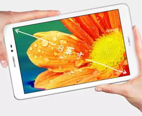 华为平板电脑怎么照张(华为平板电脑照相功能详解，轻松掌握拍照技巧)