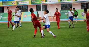 徐州队2-1泰州 苏超最新排名出炉(徐州队力克泰州，苏超最新排名出炉—群雄逐鹿，谁主沉浮？