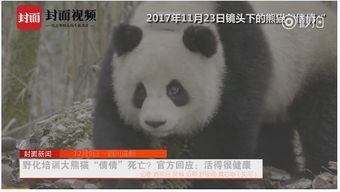 2人造谣科研人员虐待大熊猫获刑(网络谣言肆虐之下，两人造谣科研人员虐待大熊猫获刑纪实)