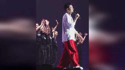 鹿晗演唱会直拍(鹿晗演唱会直拍，热血舞台上的真实魅力)