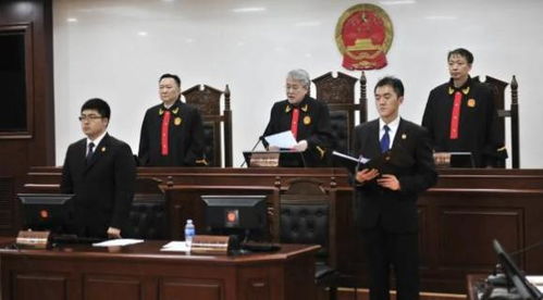 印度三男子强奸法学院女生被拘4天(印度三男子强奸法学院女生事件，法律的短暂沉默与社会的深度反思)