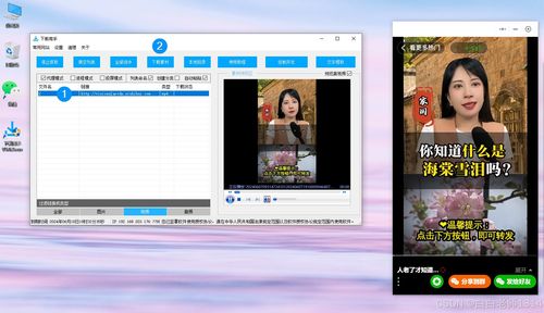 华为电脑怎么下载优酷(华为电脑下载优酷视频指南，轻松掌握下载步骤)