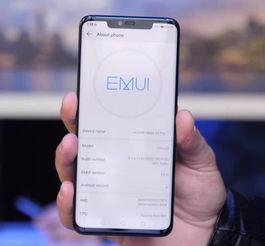 华为电脑绿屏怎么处理(华为电脑绿屏问题解析与解决方案)