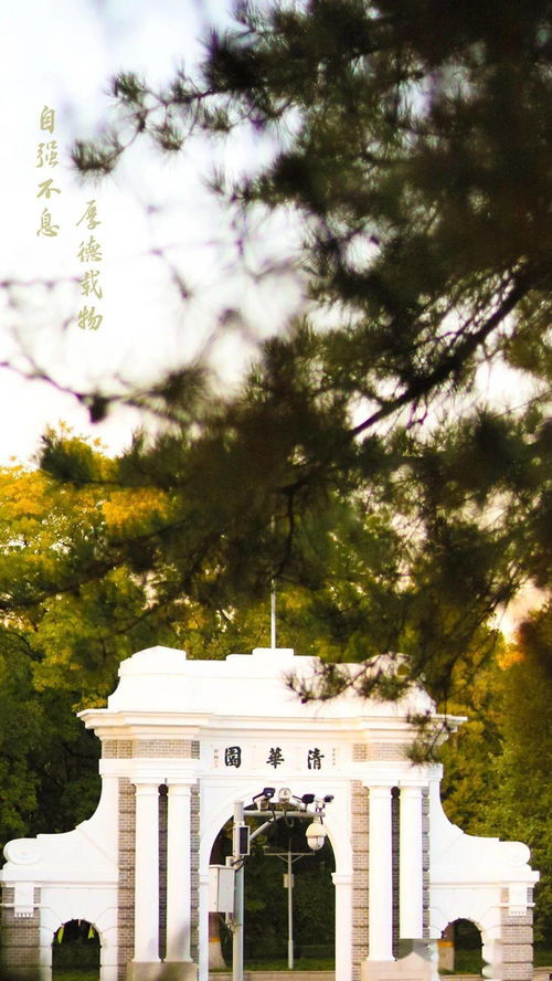 华为电脑怎么可以换墙纸(华为电脑更换墙纸的方法与步骤详解)