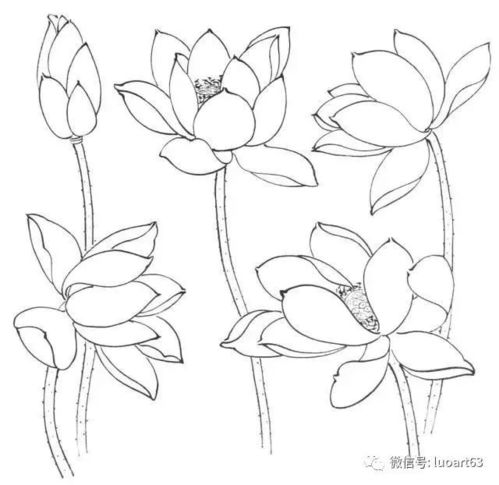 华为电脑标尺怎么画线的(华为电脑标尺画线指南，轻松掌握绘制线条的技巧)